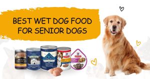 Wet Dog Food for Senior Dogs