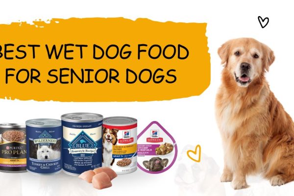 Wet Dog Food for Senior Dogs