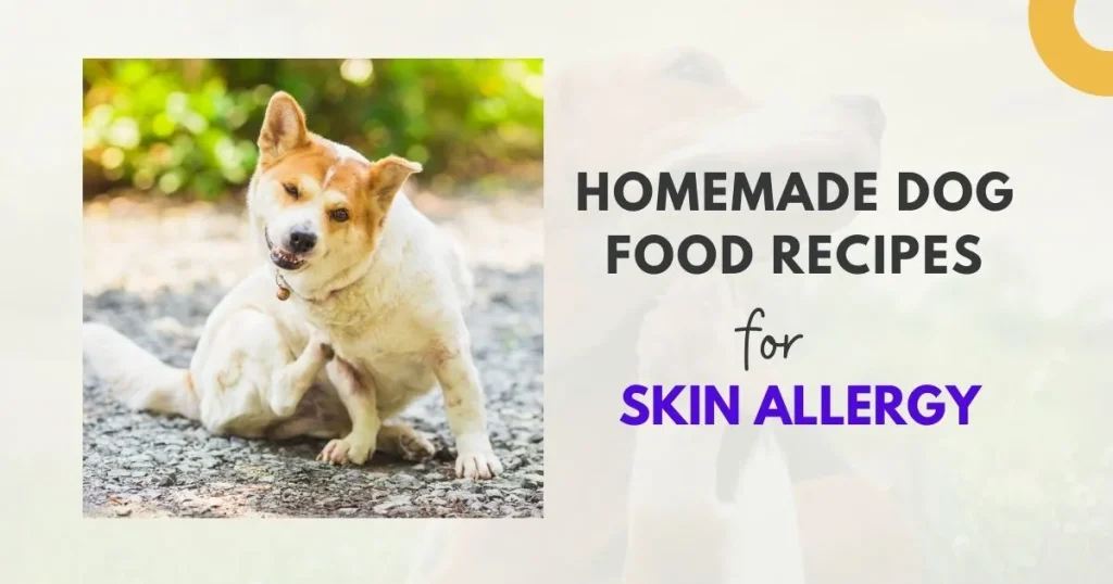 homemade dog food for skin allergies